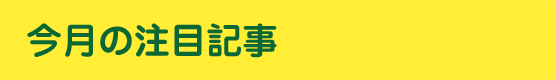 今月の注目記事