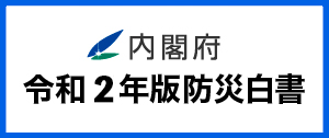 令和2年版防災白書